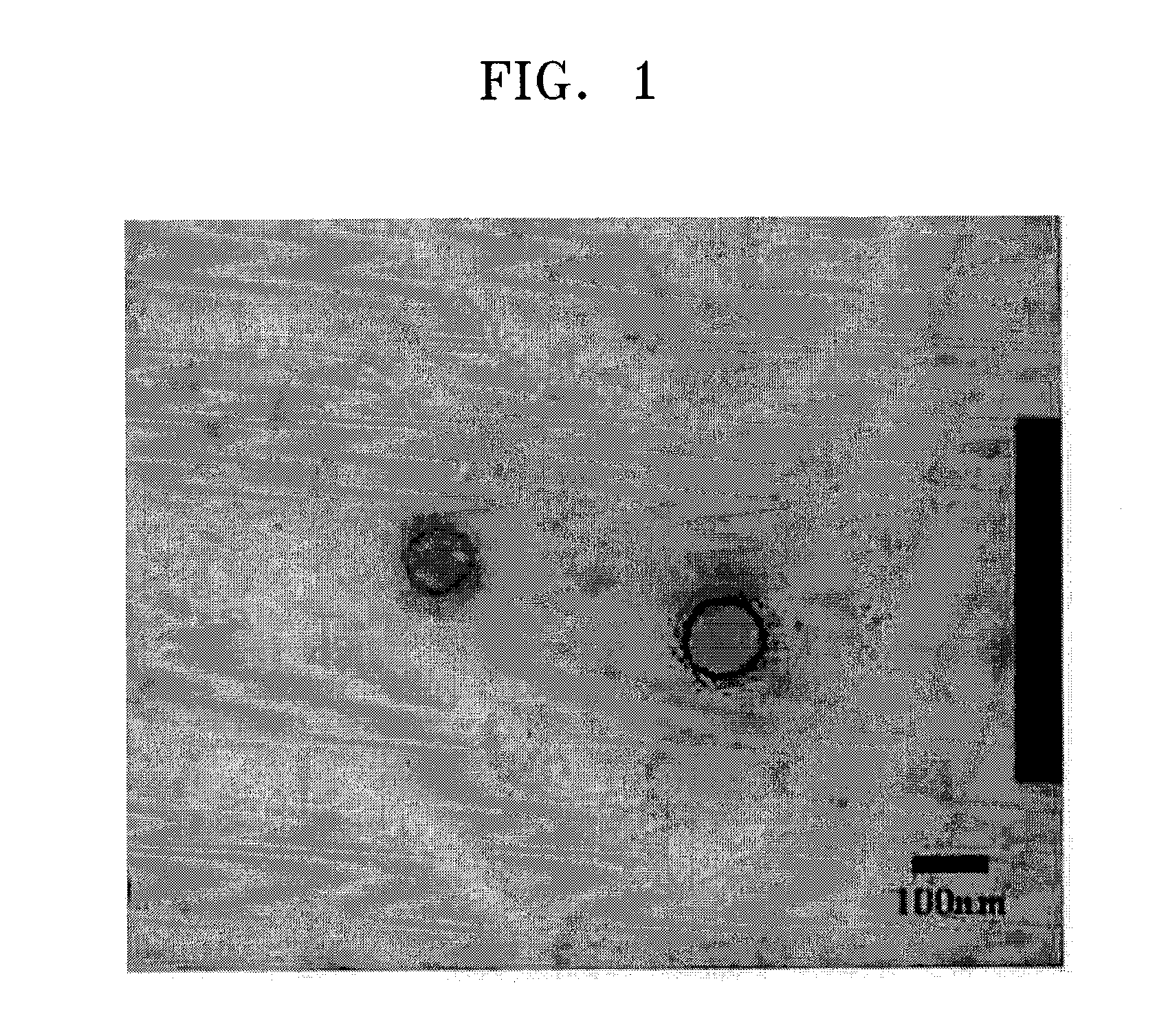 Polymer Capsule and Process For the Preparation Thereof