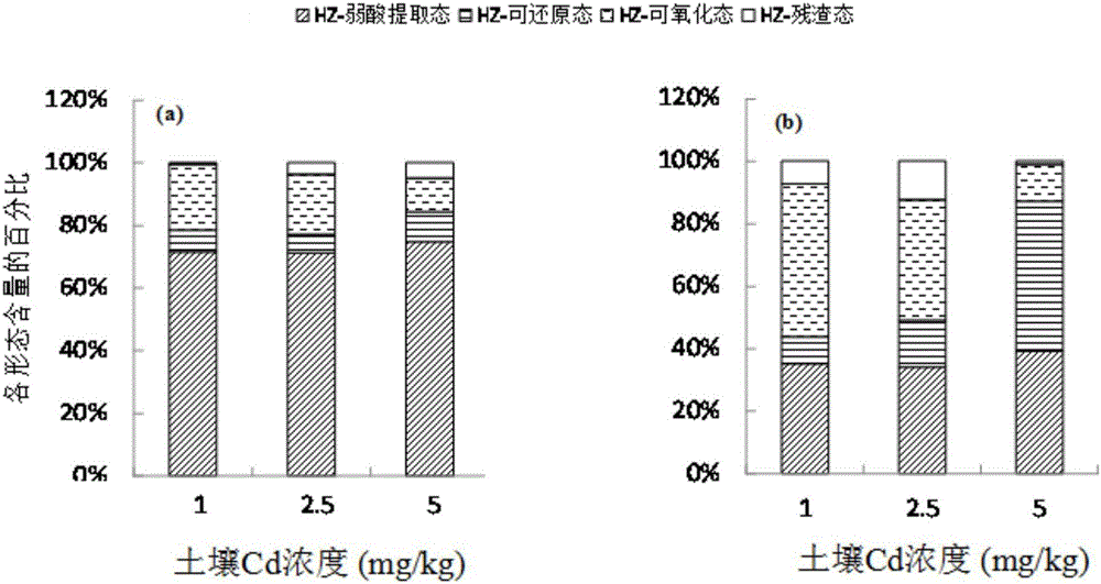 Modified biomass charcoal and method for preventing heavy metal from being accumulated in vegetable bodies