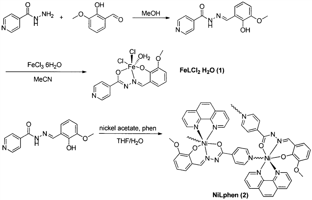 Synthesis method and application of o-vanillin isonicotinoyl hydrazone iron and nickel complex