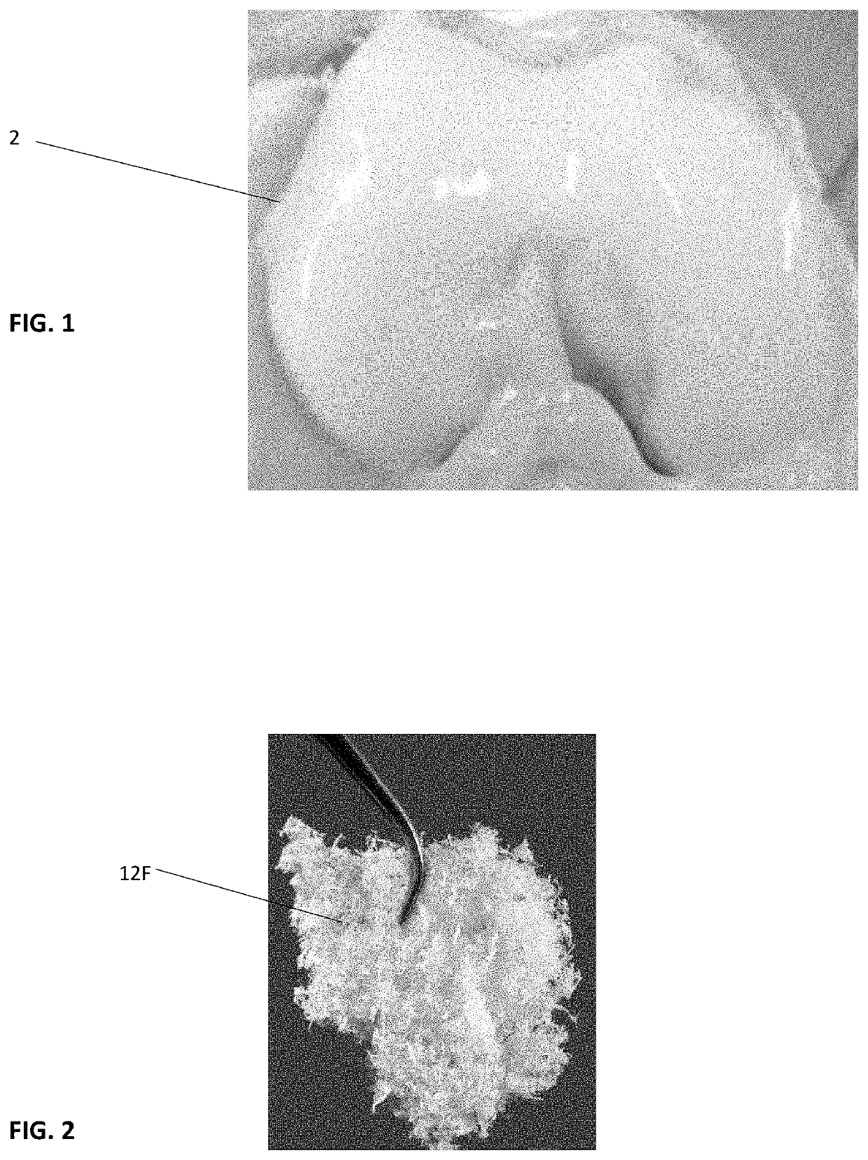 Infused cartilage fibers