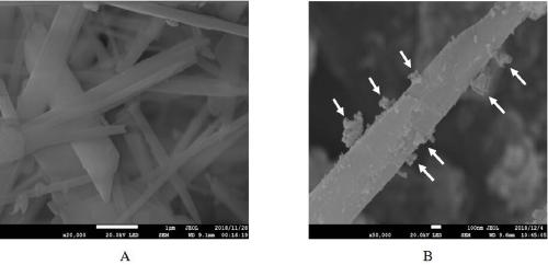 Sepiolite composite material loading nanocarbon hydroxyapatite as well as preparation method and application ofsepiolite composite material