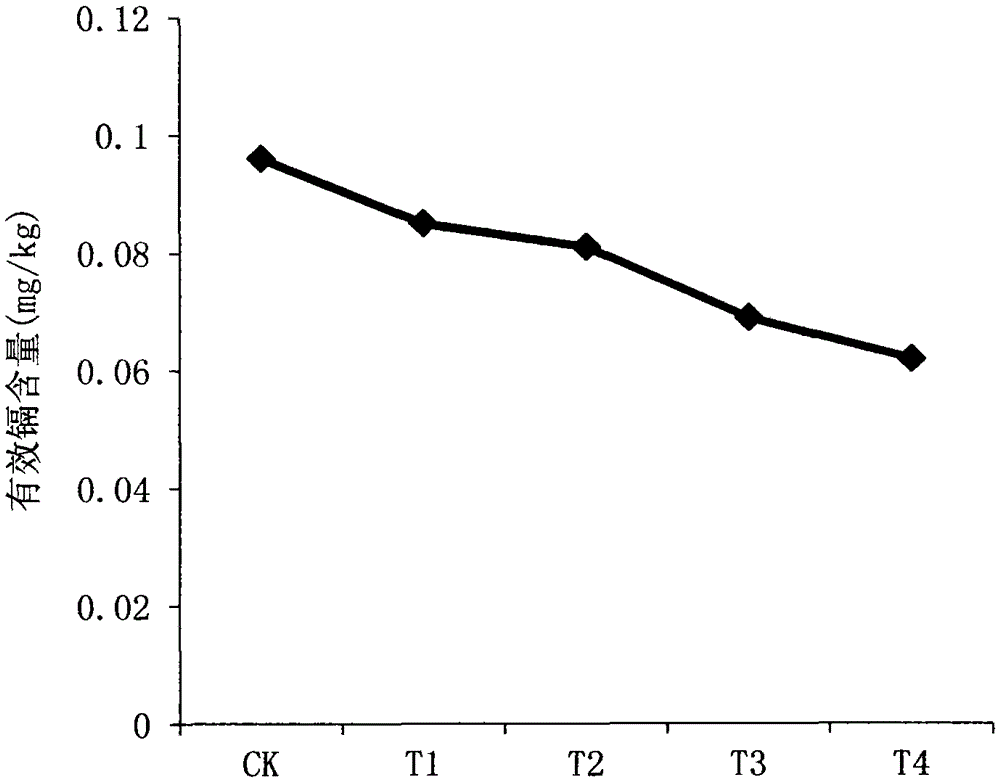 A kind of soil cadmium passivator and its preparation method and the application of reducing tobacco cadmium