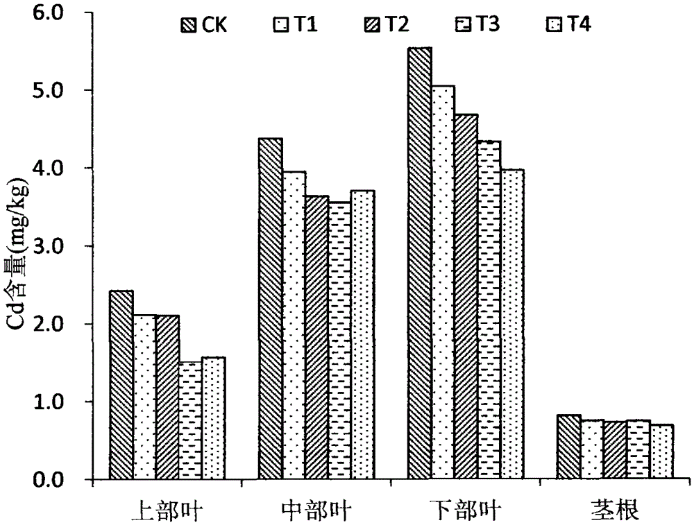 A kind of soil cadmium passivator and its preparation method and the application of reducing tobacco cadmium