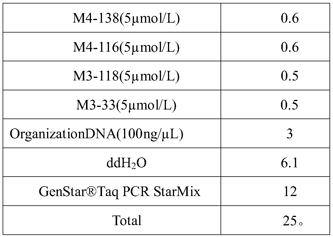 A method of microsatellite fluorescence multiplex PCR for parentage identification of grouper oblique