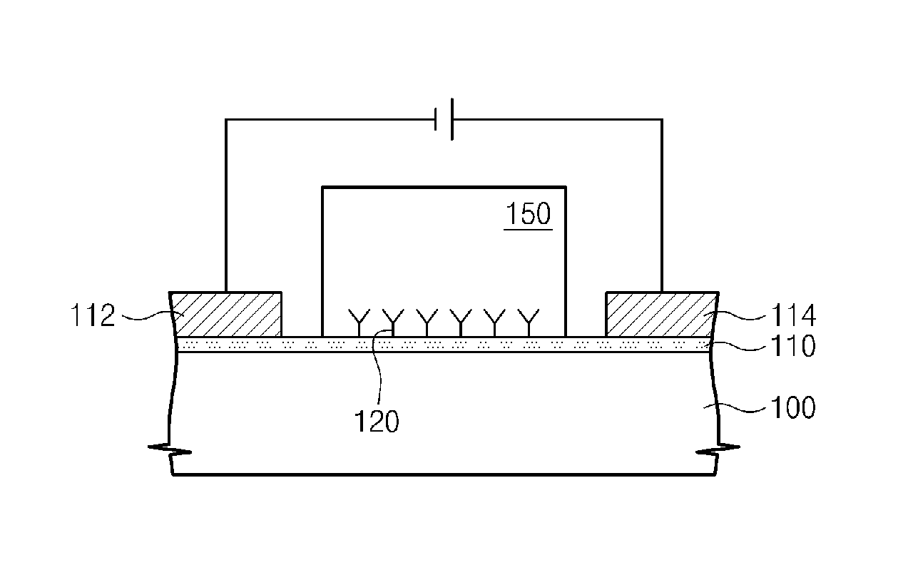 Method and apparatus for measuring isoelectric point using field effect transistor
