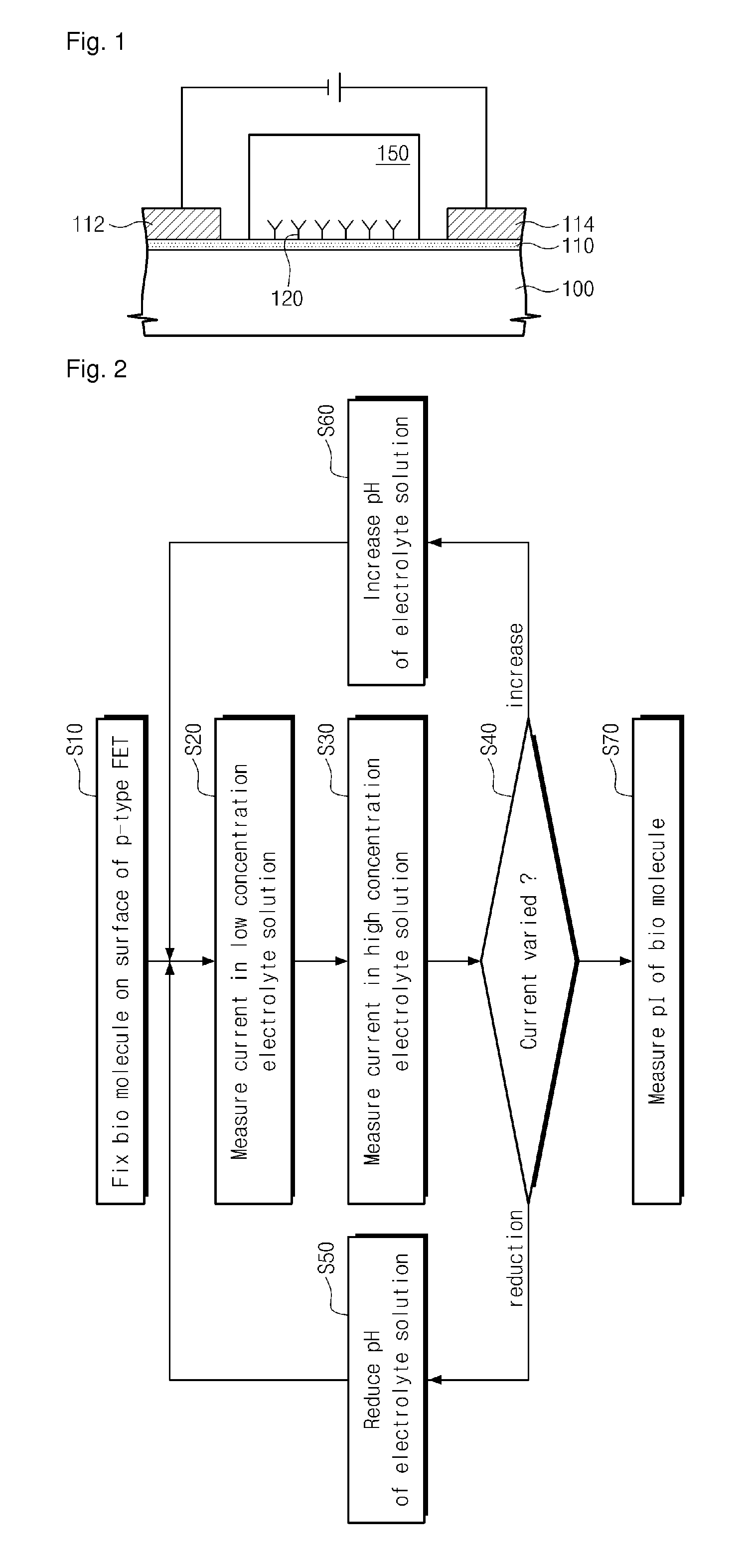 Method and apparatus for measuring isoelectric point using field effect transistor