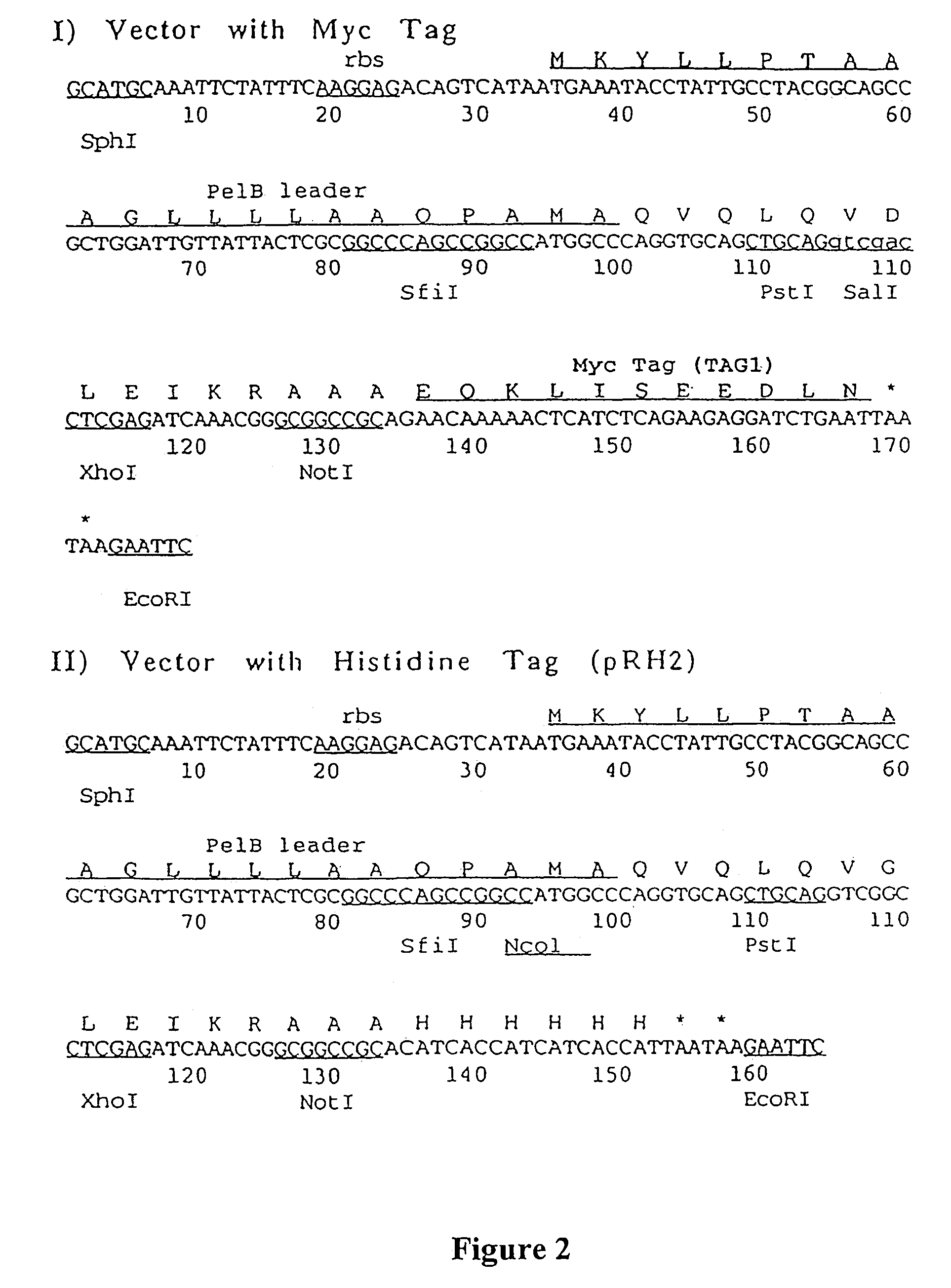 Materials and methods relating to fusion proteins for inducing an immune response