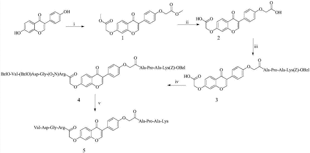 4'-oxyacetyl-APAK-7-oxyacetyl-RGDV-isoflavone, and synthesis, activity and application thereof