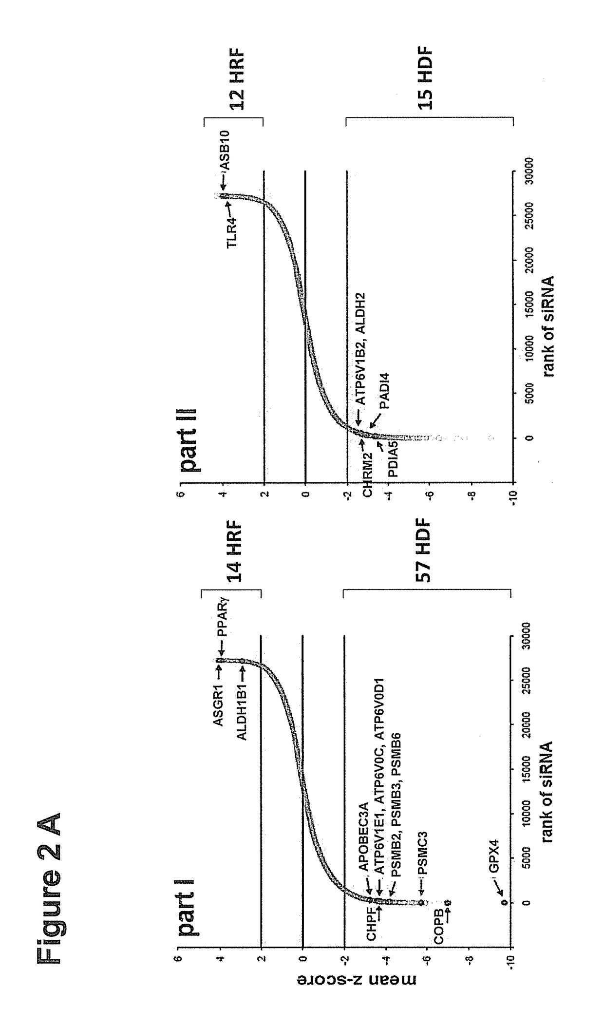 Host dependency factors as targets for antiviral therapy