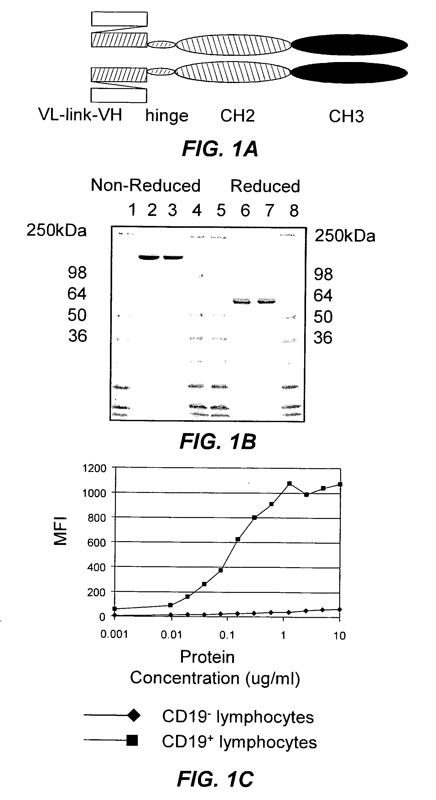 B-cell reduction using CD37-specific and CD20-specific binding molecules