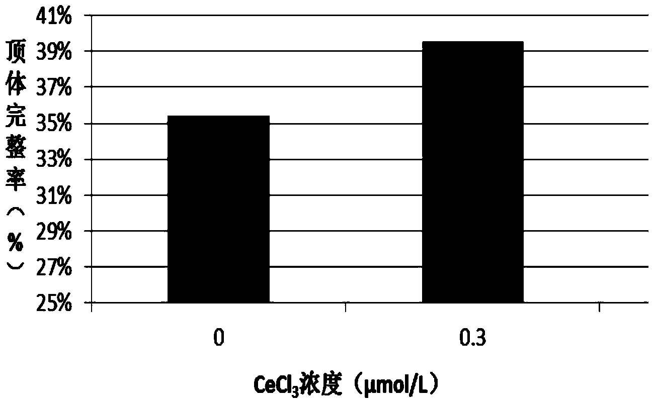 Bovine semen freezing dilute solution containing trace amount of rare-earth and application thereof