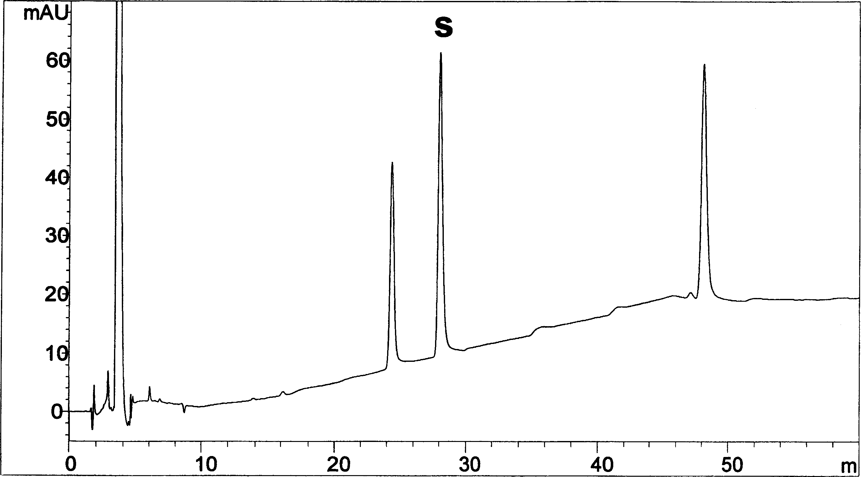 Bilobalide soft capsule and its preparation method