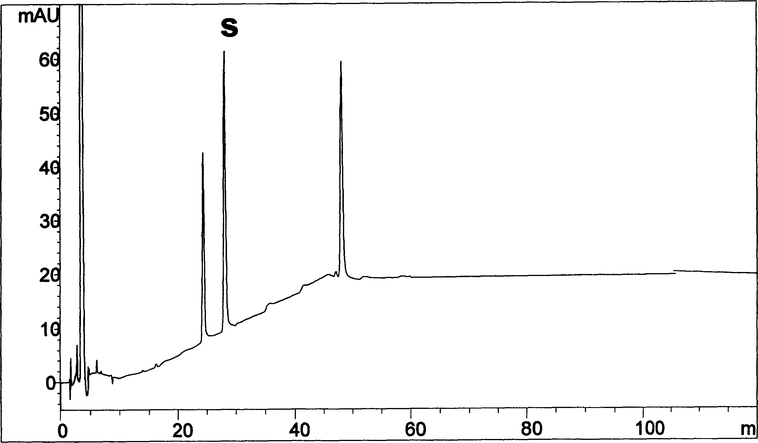 Bilobalide soft capsule and its preparation method