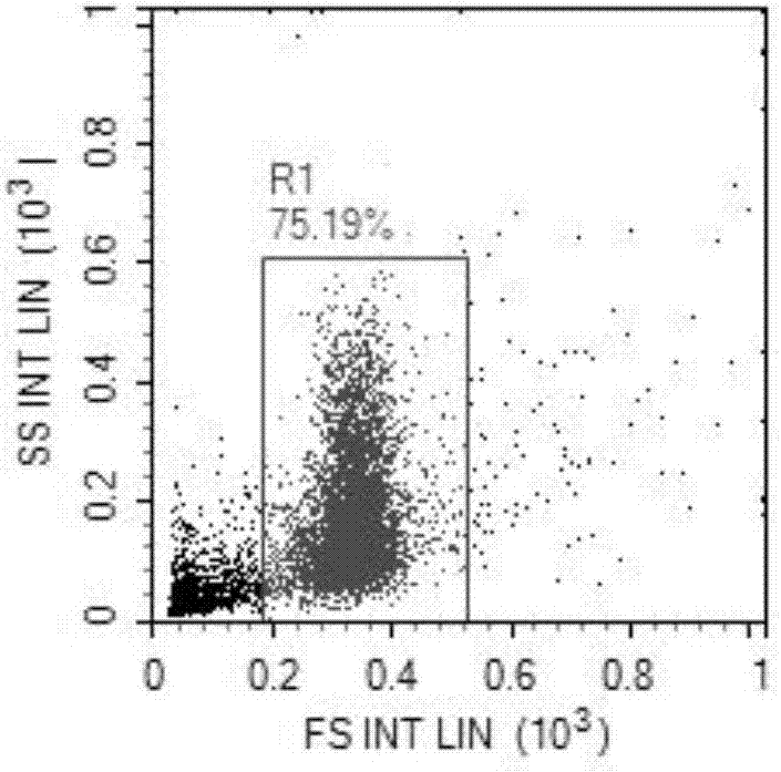 Sperm DFI (DNA Fragmentation Index) detection method based on flow cytometry