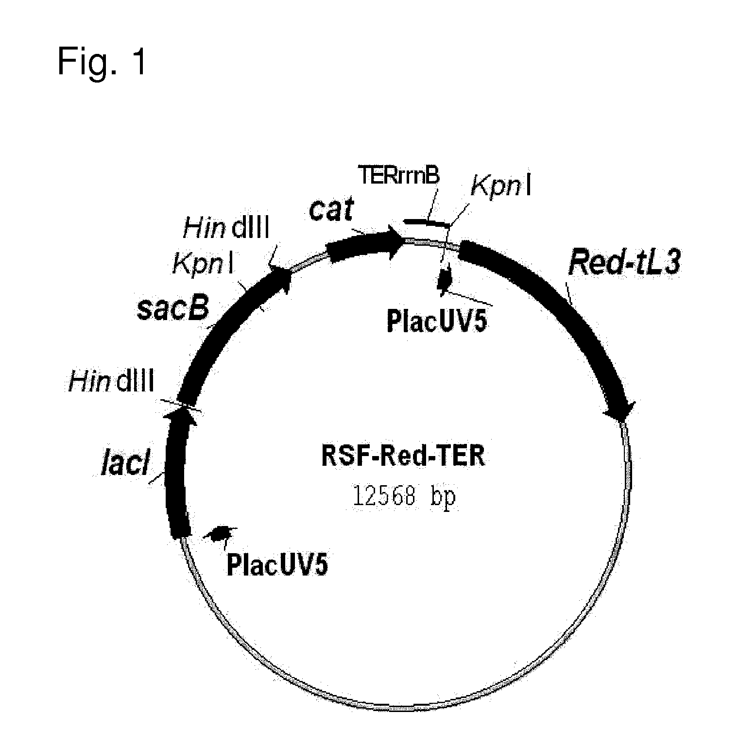 Method for Producing an Acidic Substance Having a Carboxyl Group