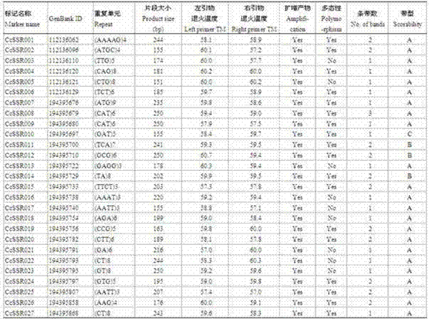 SSR DNA markers for jute expressed sequence tags