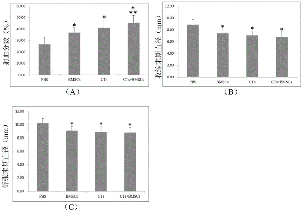 Myocardial infarction treating cell preparation, preparation method and applications thereof