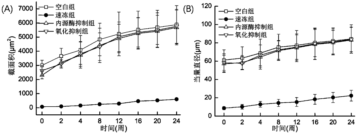 Model analysis method for distinguishing frozen storage fresh water fish meat quality degradation influence factor and application