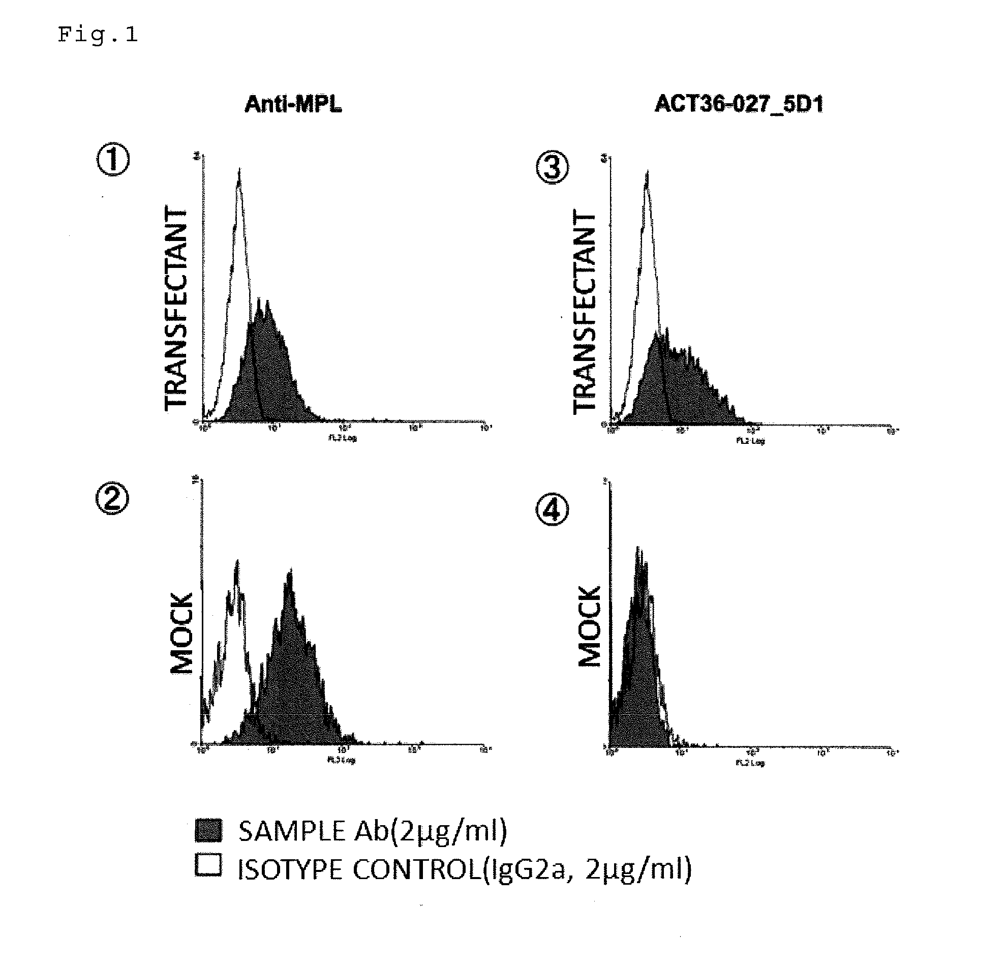 Antibody having Anti-cancer activity