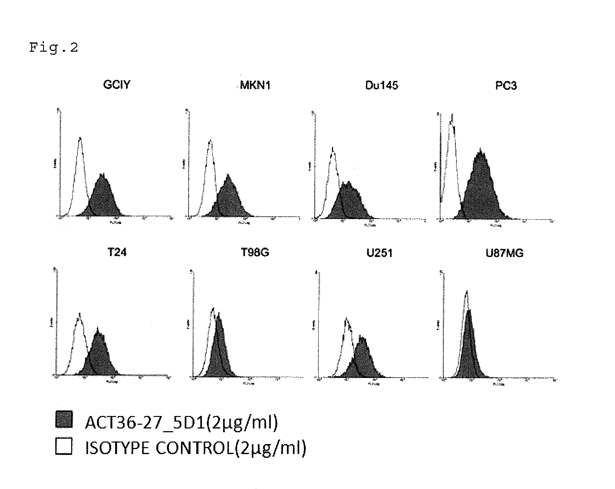 Antibody having Anti-cancer activity