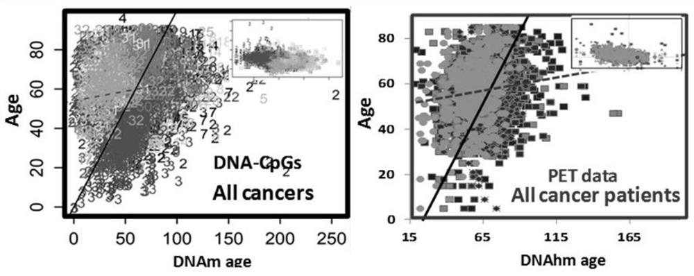 use the human body  <sup>18</sup> f-fdg PET data analysis tissue DNA hydroxymethyl background and application