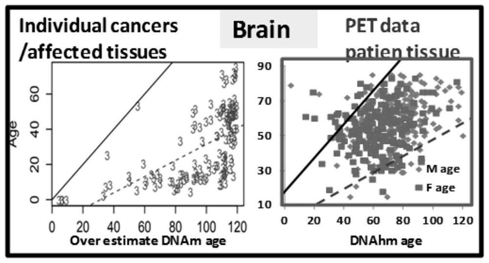 use the human body  <sup>18</sup> f-fdg PET data analysis tissue DNA hydroxymethyl background and application