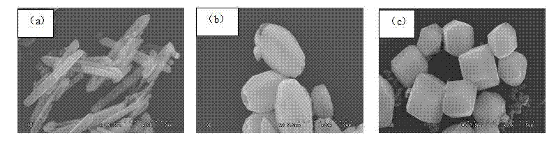 Multi-morphology rare earth doped BiVO4 composite photocatalyst and preparation method thereof