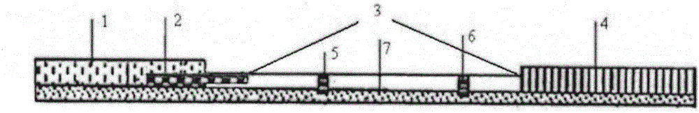 Test strip for detecting estriol and applications thereof