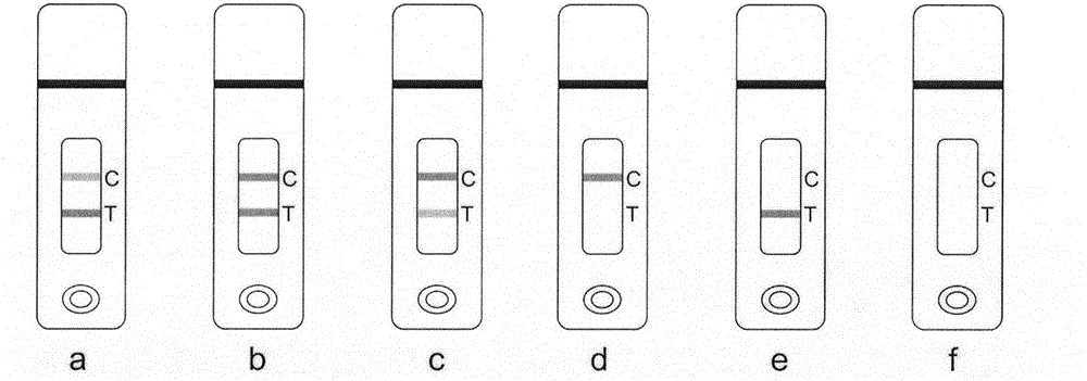 Test strip for detecting estriol and applications thereof
