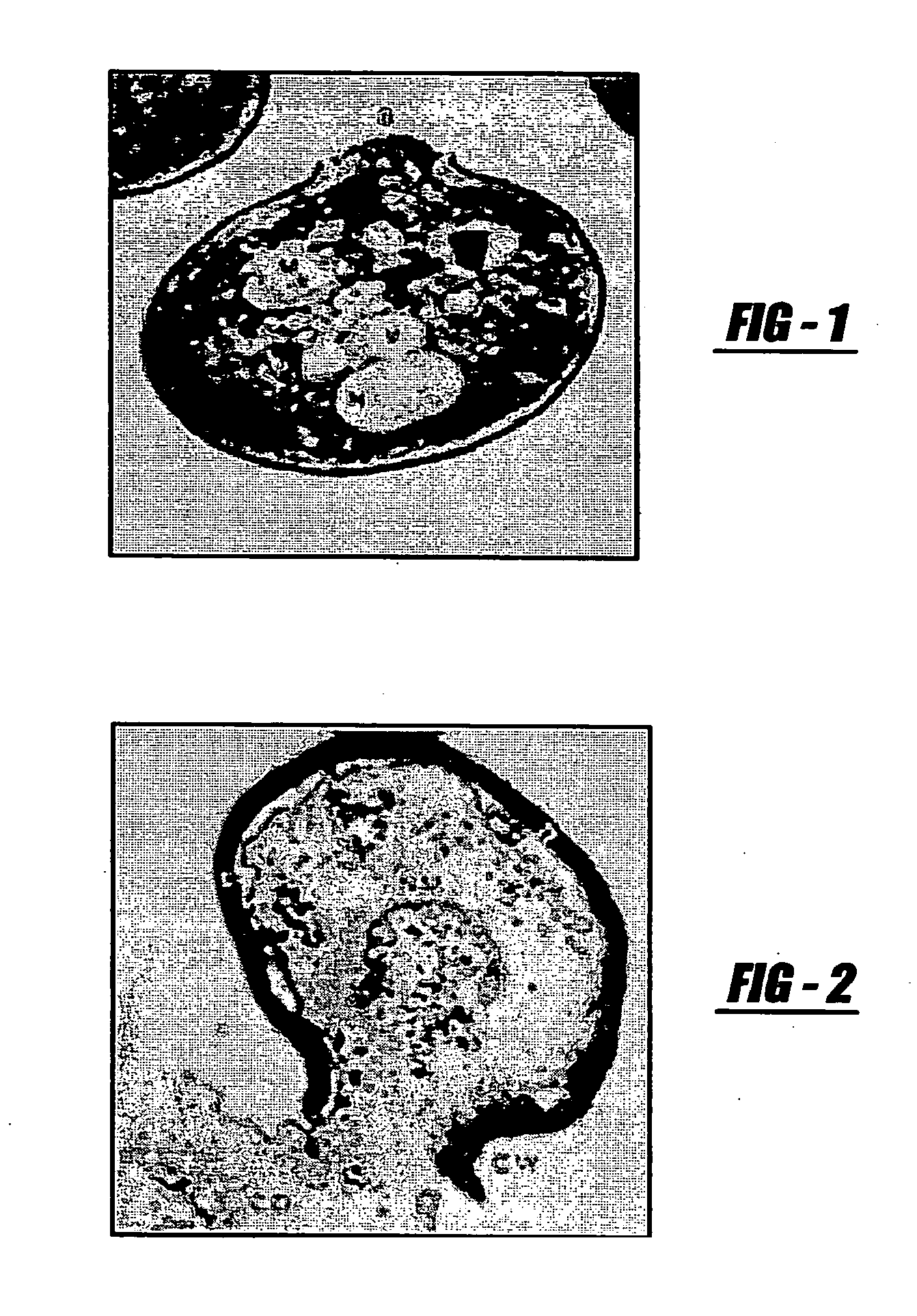 Device and method for treating biomass