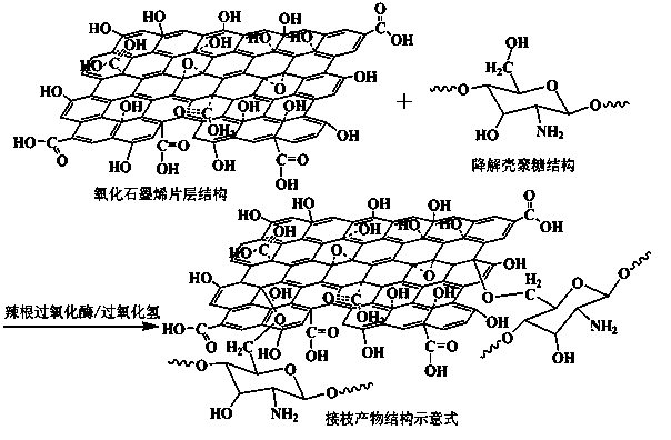 Preparation method of chitosan modified graphite oxide functional leather tanning agent