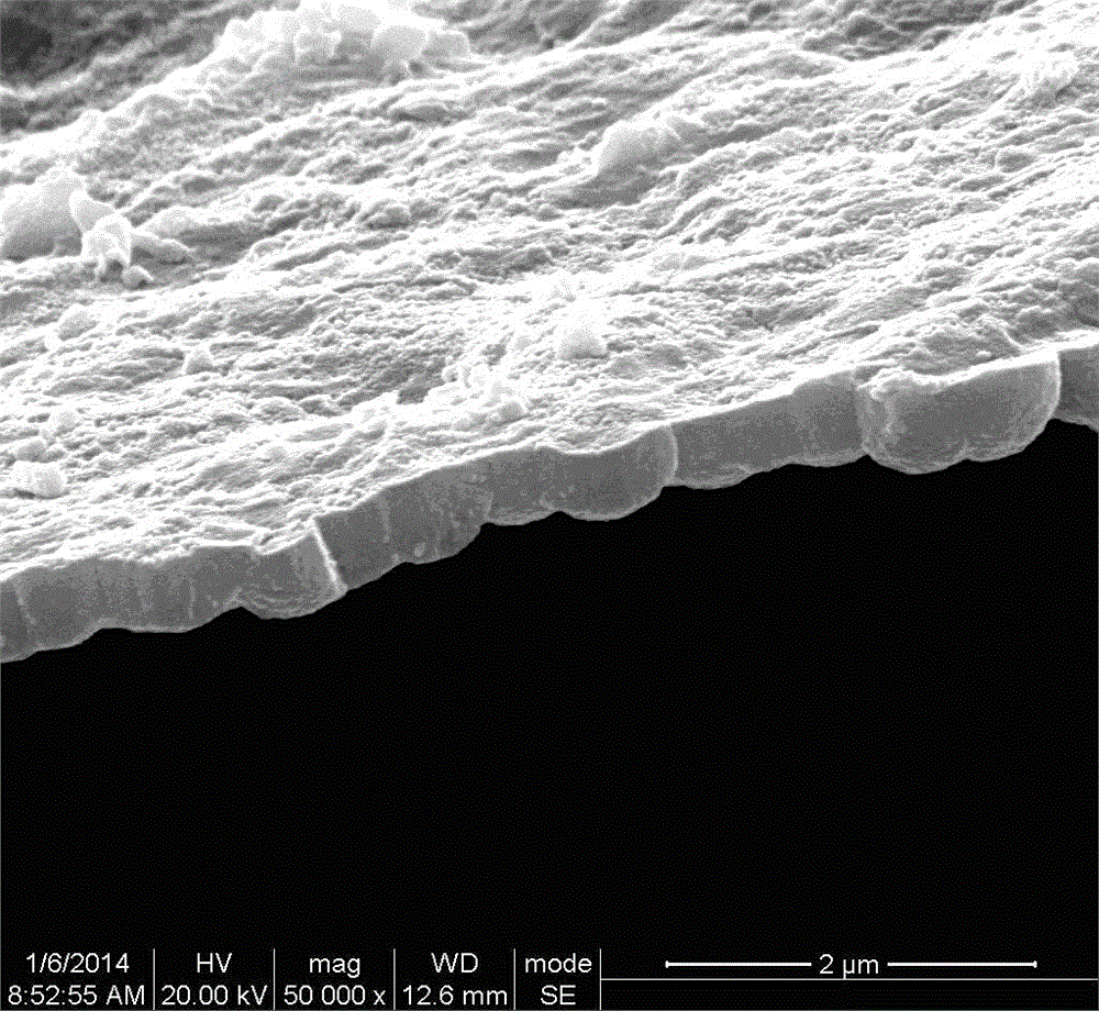 Method and application of peeling titanium surface coating by adopting nanotube treatment method