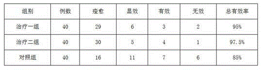 Traditional Chinese medicine composition for treating painful heel