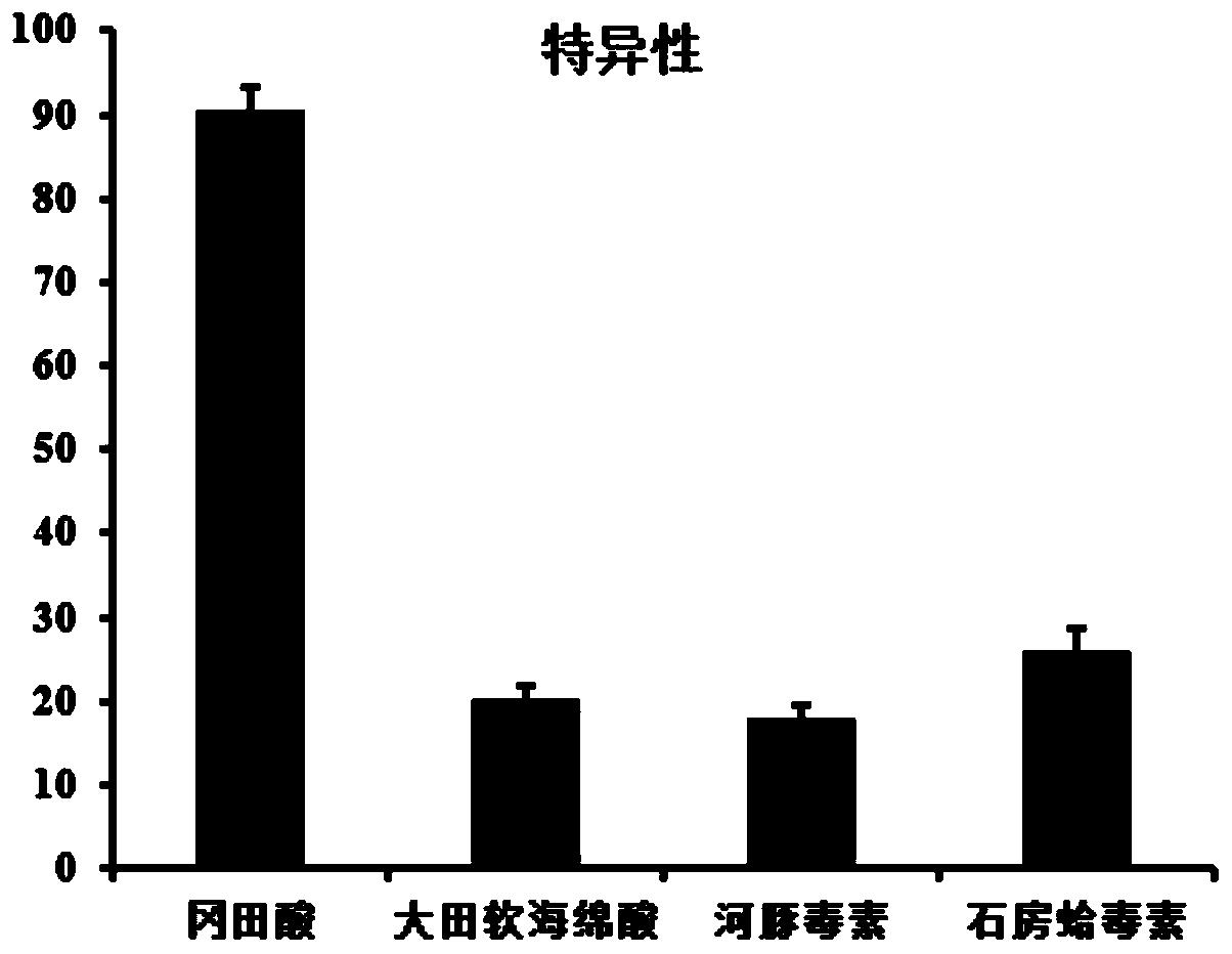 Fluorescent nucleic acid aptamer sensor for detecting okadaic acid, preparation method of fluorescent nucleic acid aptamer sensor and method for detecting okadaic acid by using fluorescent nucleic acid aptamer sensor