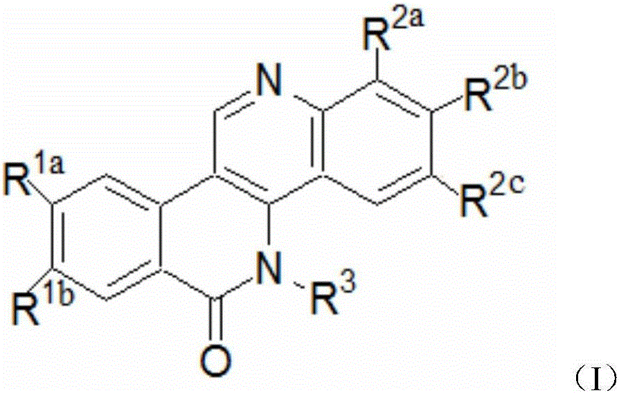 Dibenzonaphthyridinone compounds, preparation method, and applications thereof