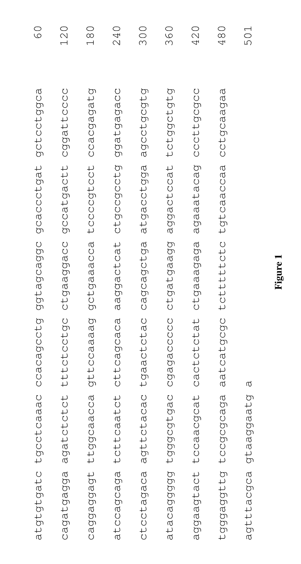 Codon optimized sequence for an antiviral protein