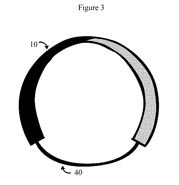 Headbands and methods for securing headbands and hair