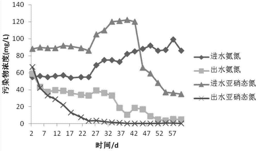 Method for rapidly starting anaerobic ammoxidation by utilizing anaerobic filter