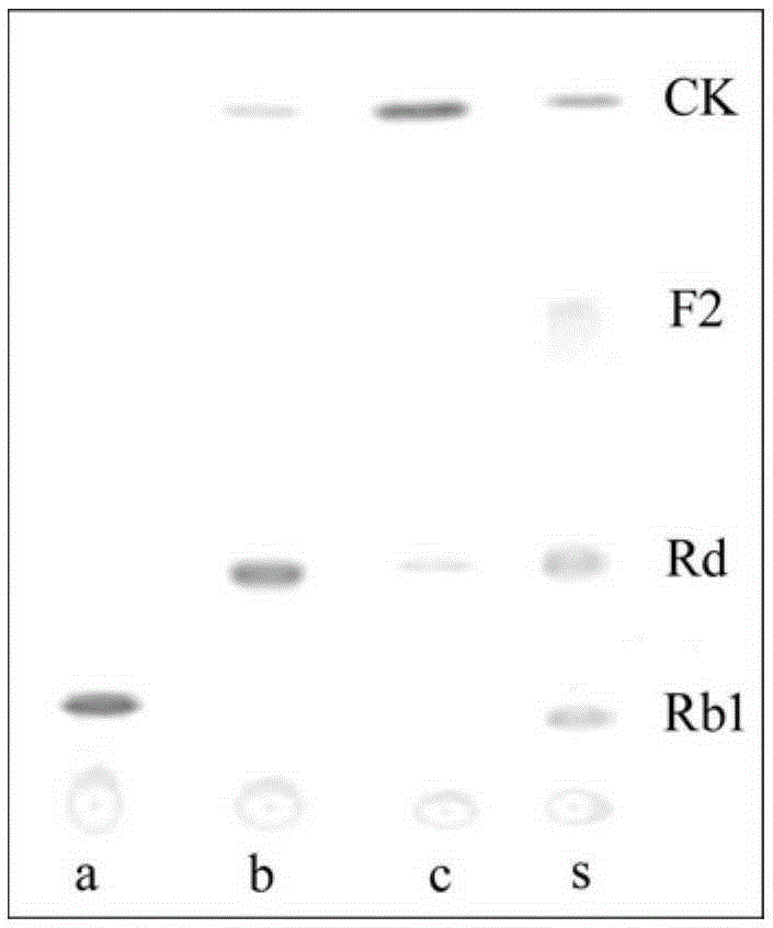 Method for preparing rare ginsenoside CK from transformed ginsenoside Rb1 and use thereof