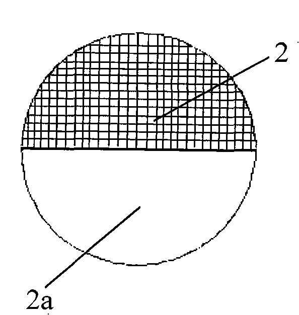 Seep guide apparatus for automatically removing water in soil