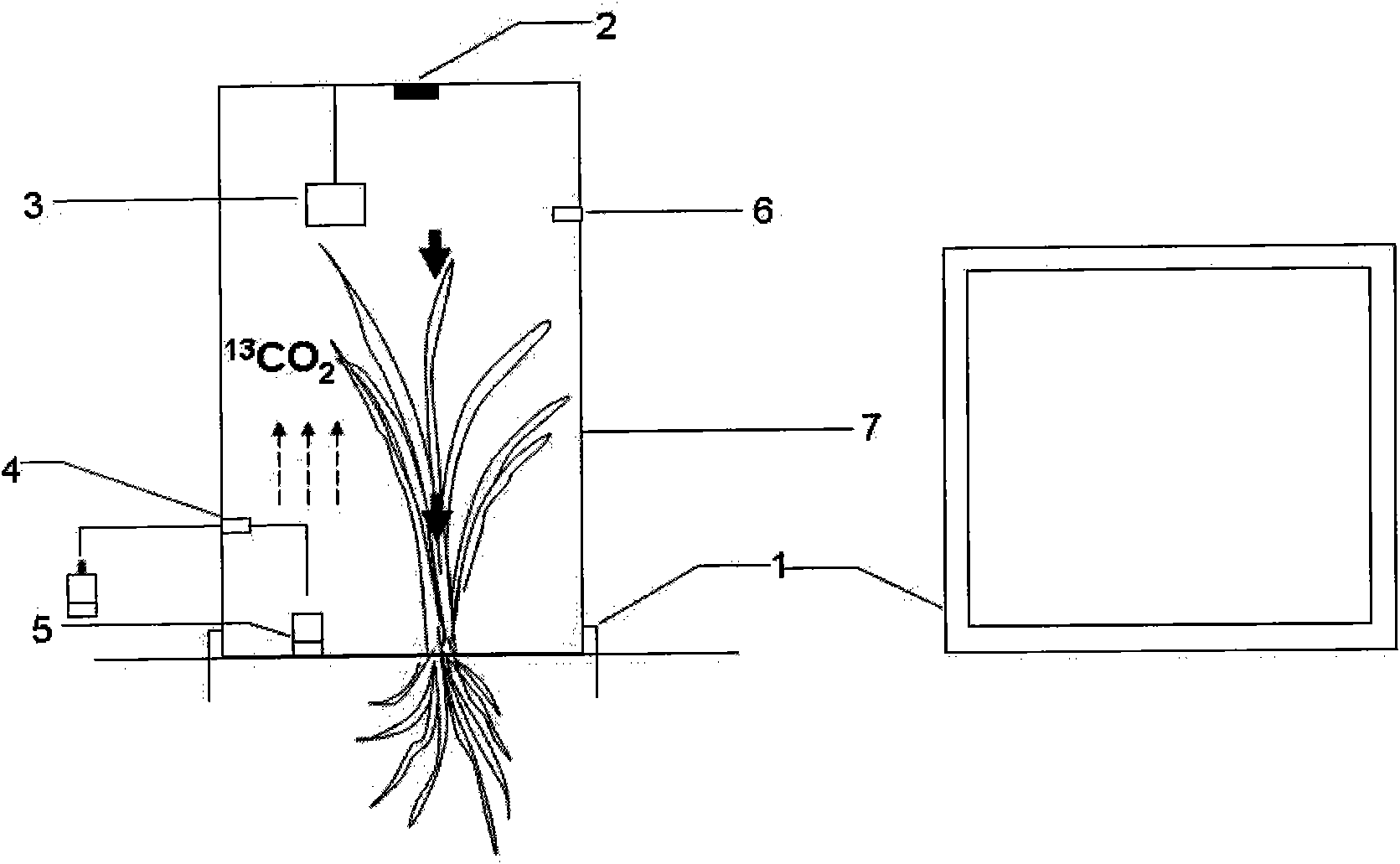 Method for detecting greenhouse gas emission of transgenic rice