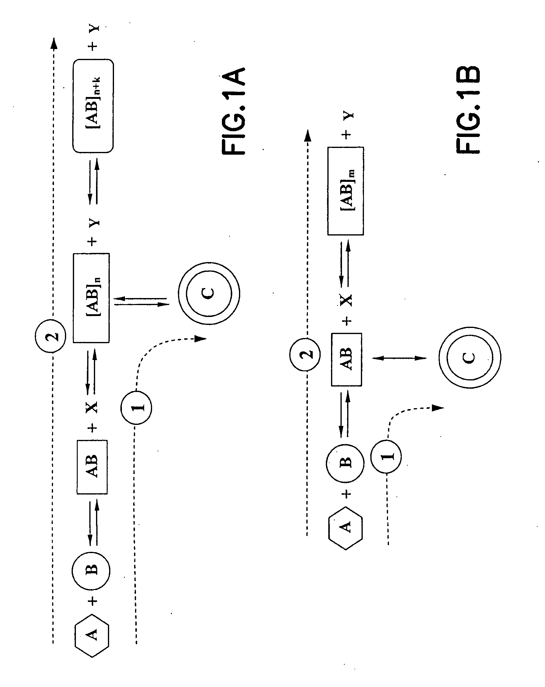 Methods, compositions, and apparatuses for forming macrocyclic compounds