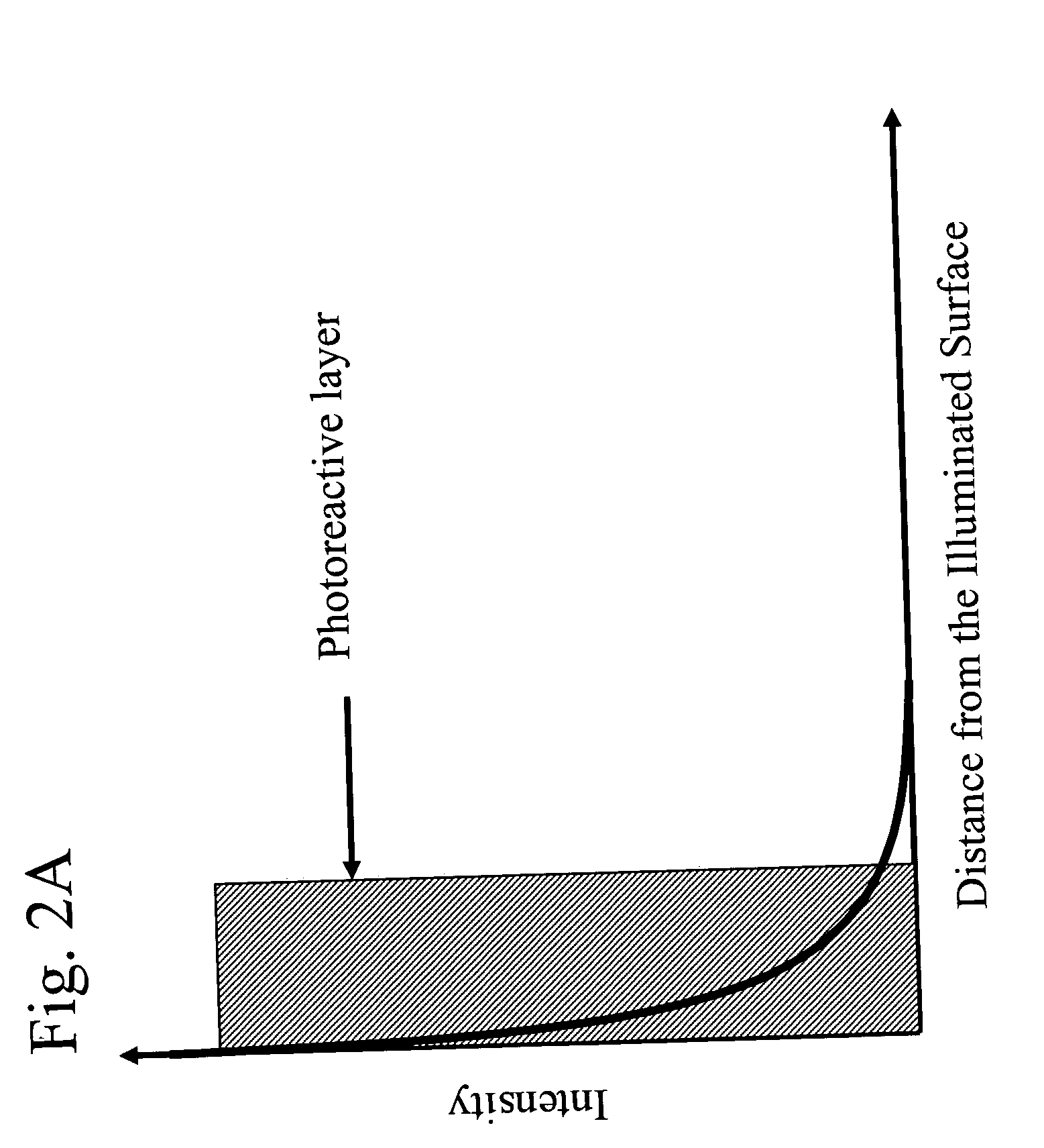 Methods for uniformly treating biological samples with electromagnetic radiation