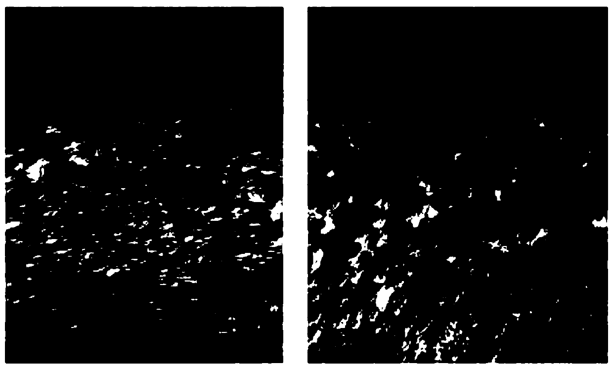 Environment-friendly and efficient liquid-state feed additive