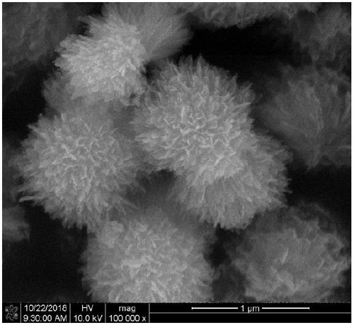 Preparation method of small-size abalone shell hydroxyapatite porous microspheres