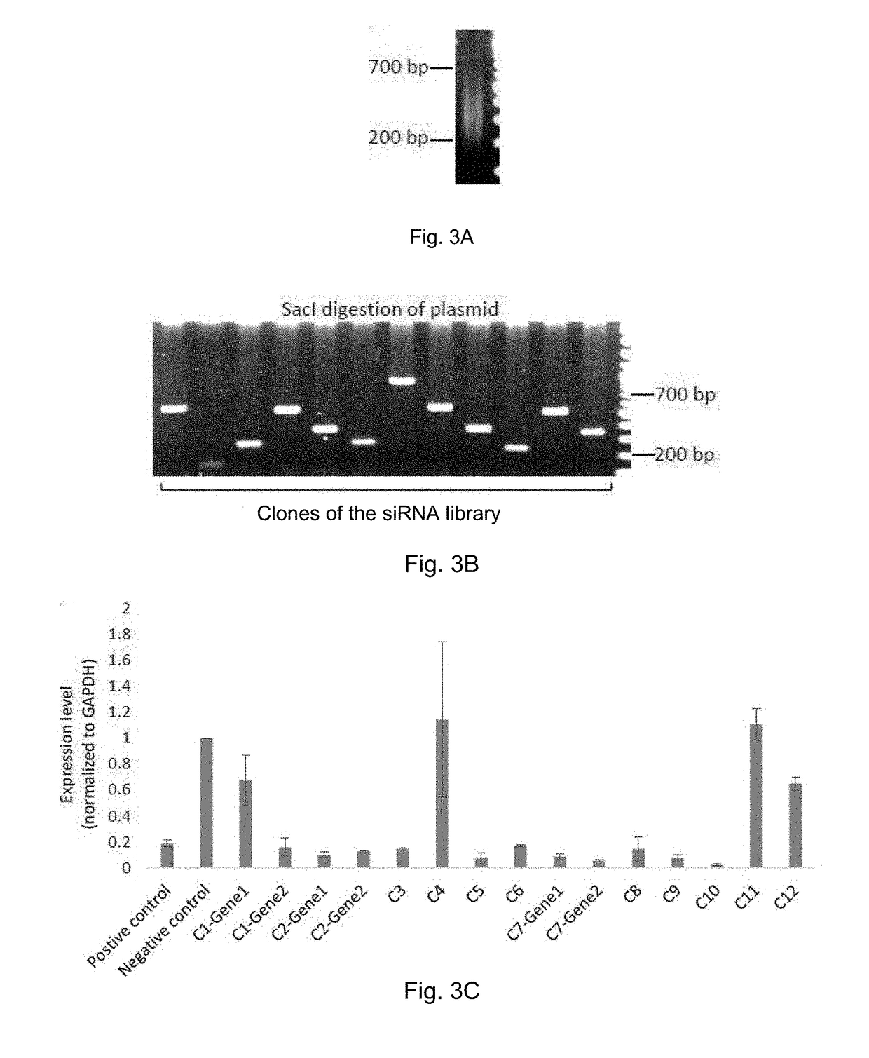 Small-interfering RNA expression systems for production of small-interfering rnas and their use