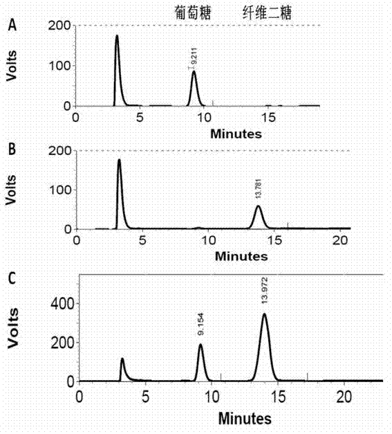 Beta-glucosaccharase gene for coding glycosyl hydrolase family 1 and application thereof