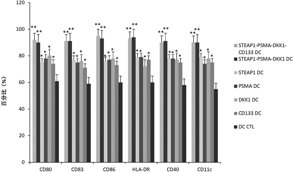 Antigen peptide composition and application thereof