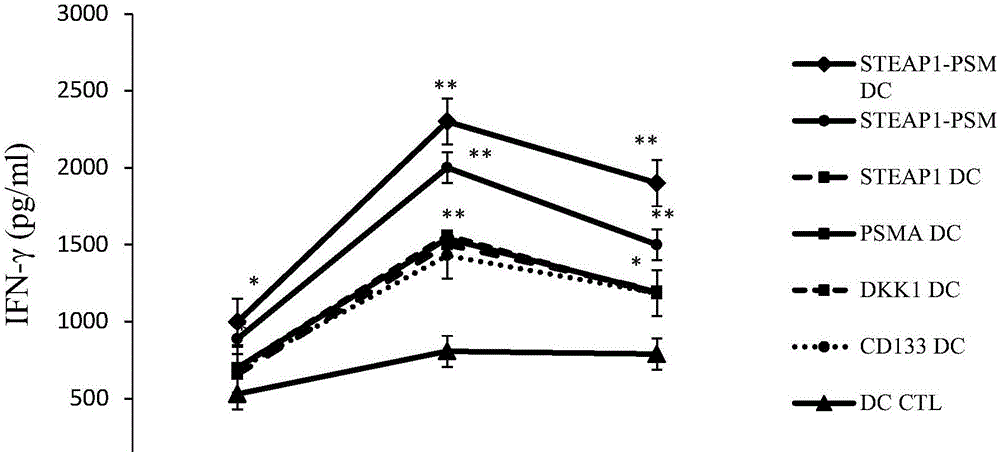 Antigen peptide composition and application thereof