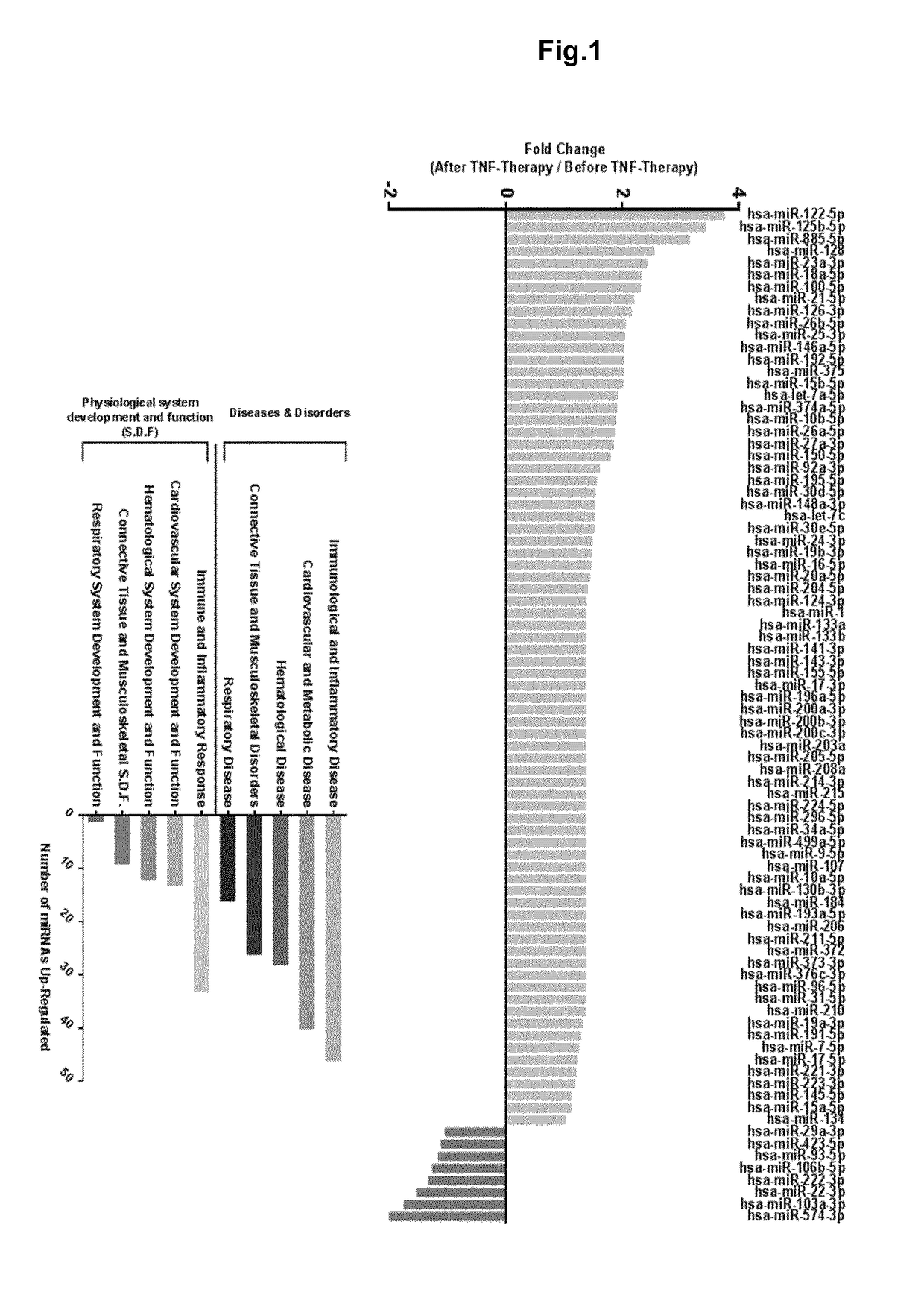 Circulating mirnas as biomarkers of therapy effectiveness in rheumatoid arthritis patients treated with Anti-tnf alpha